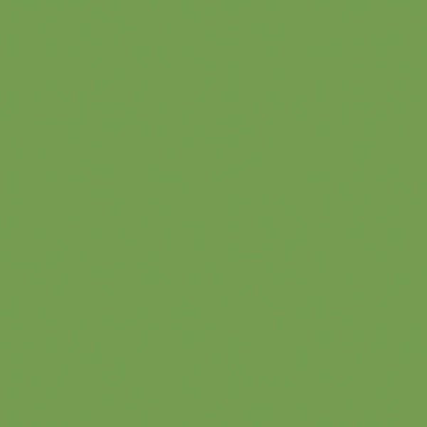 Confetti Cotton Solids – Basil | Earthy Medium Green Quilting Fabric by the half Yard | Riley Blake Designs
