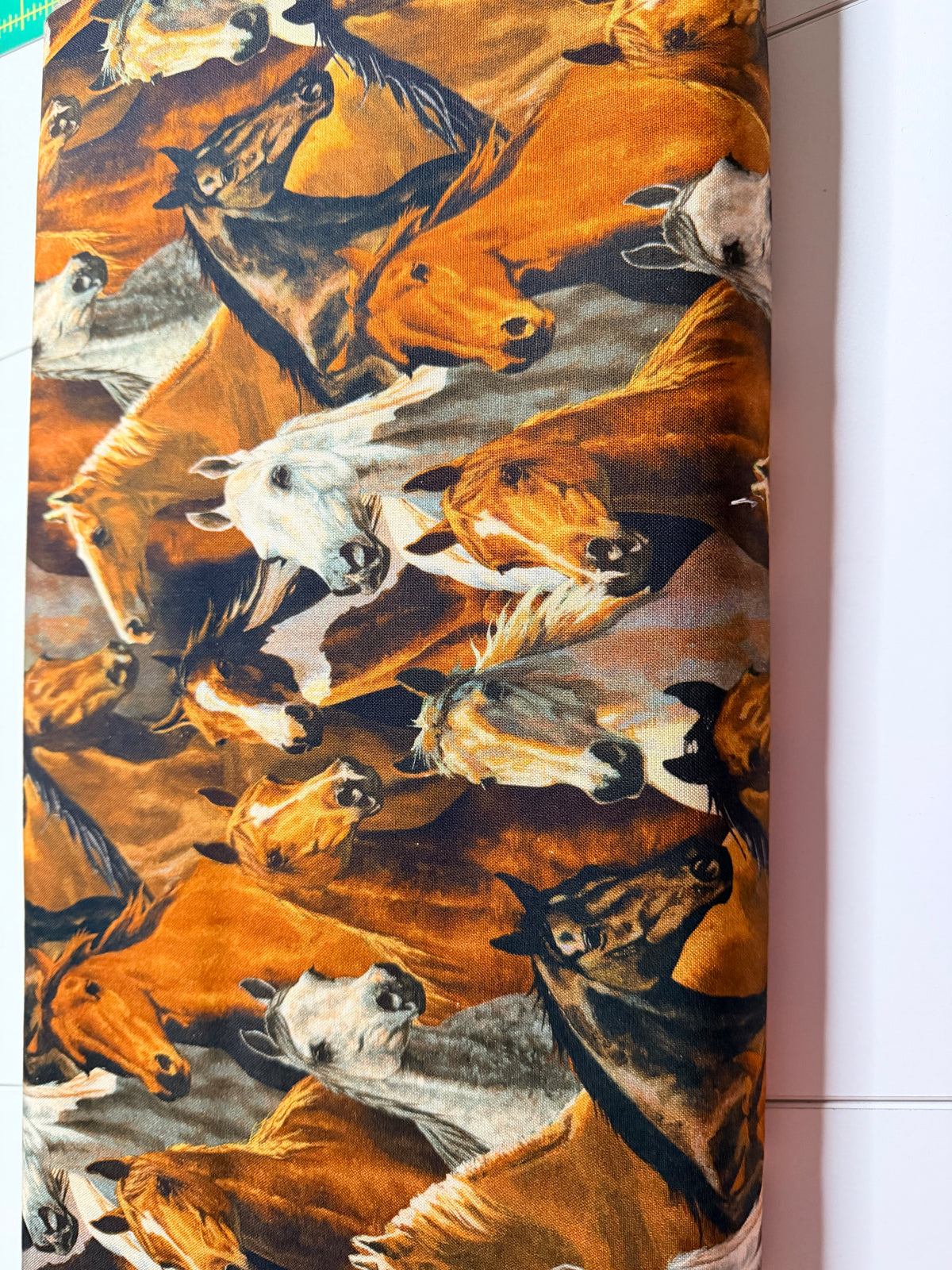 Springs Creative Novelty Rivers Bend Horses
