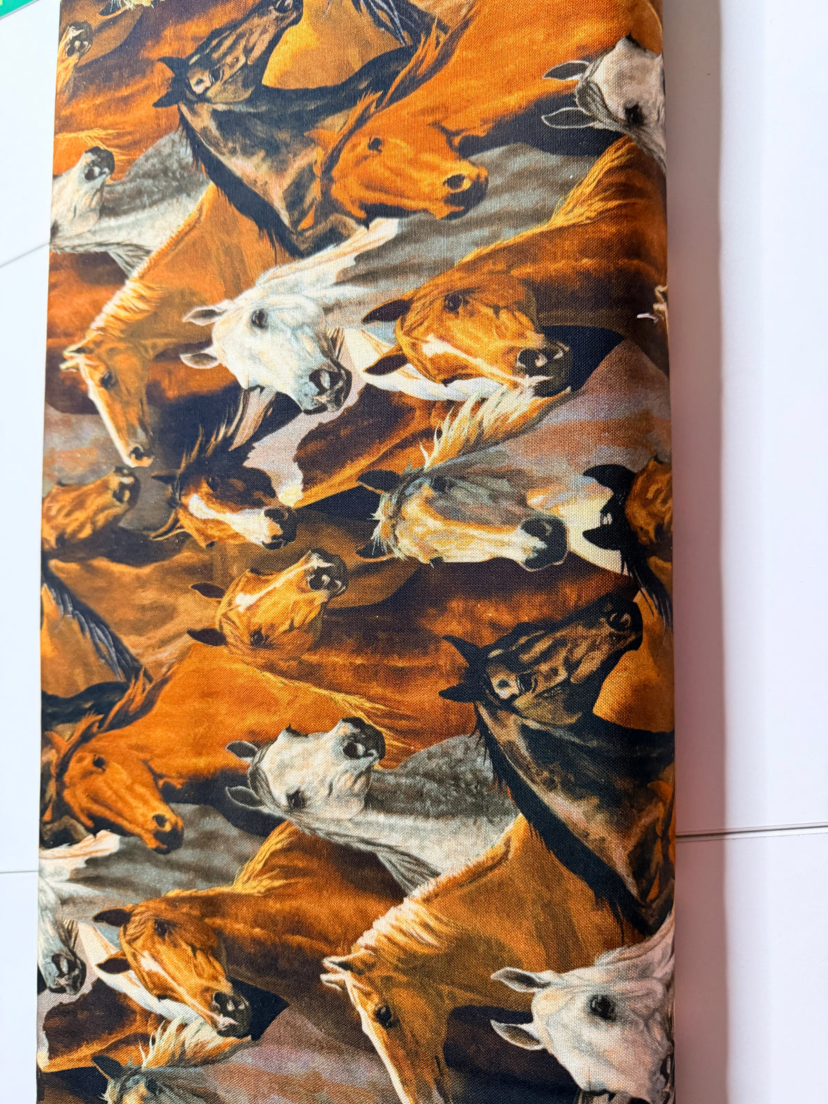 Springs Creative Novelty Rivers Bend Horses