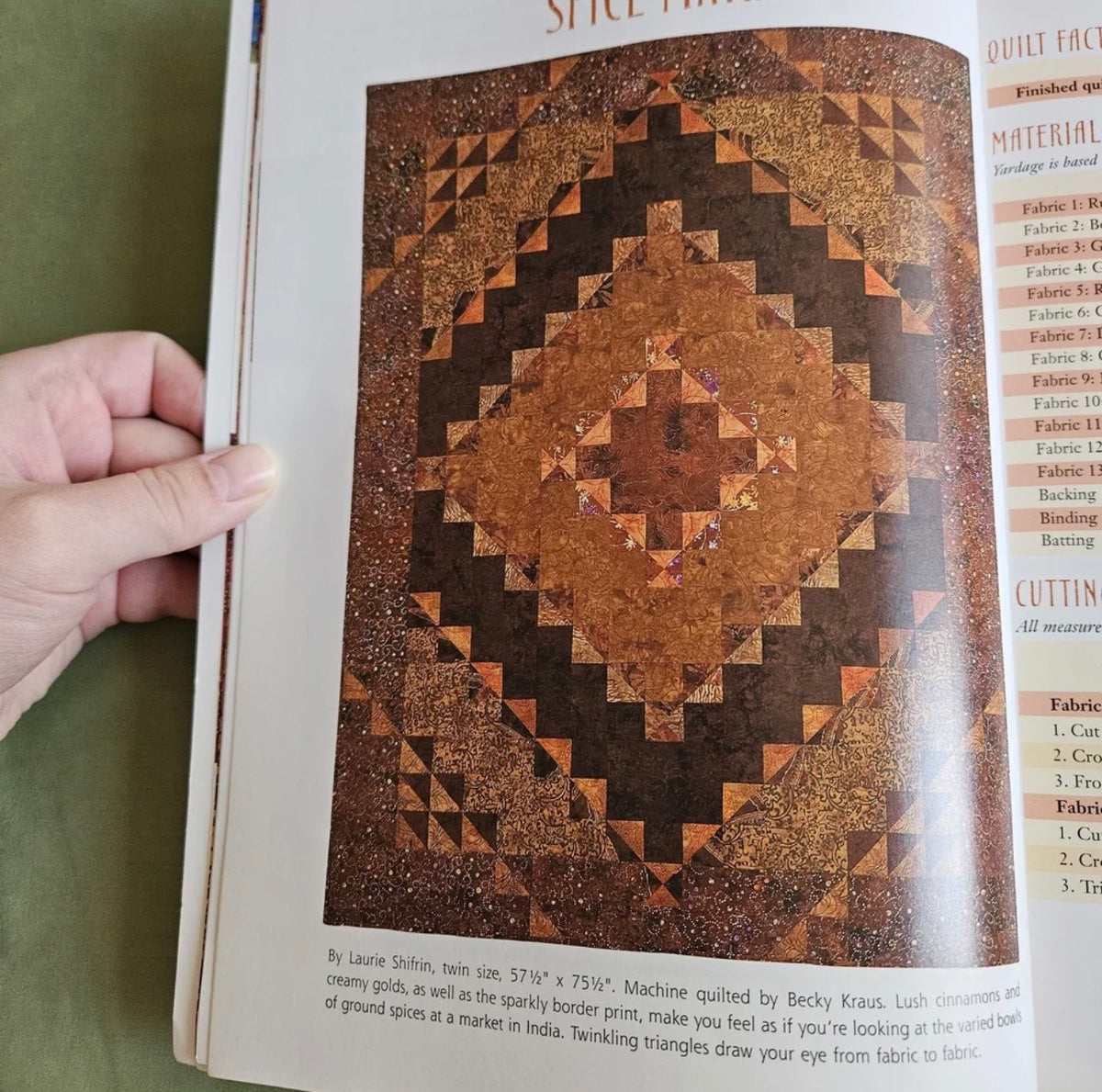 Batiks and Beyond: 22 Quilts from Fabulous Fabrics