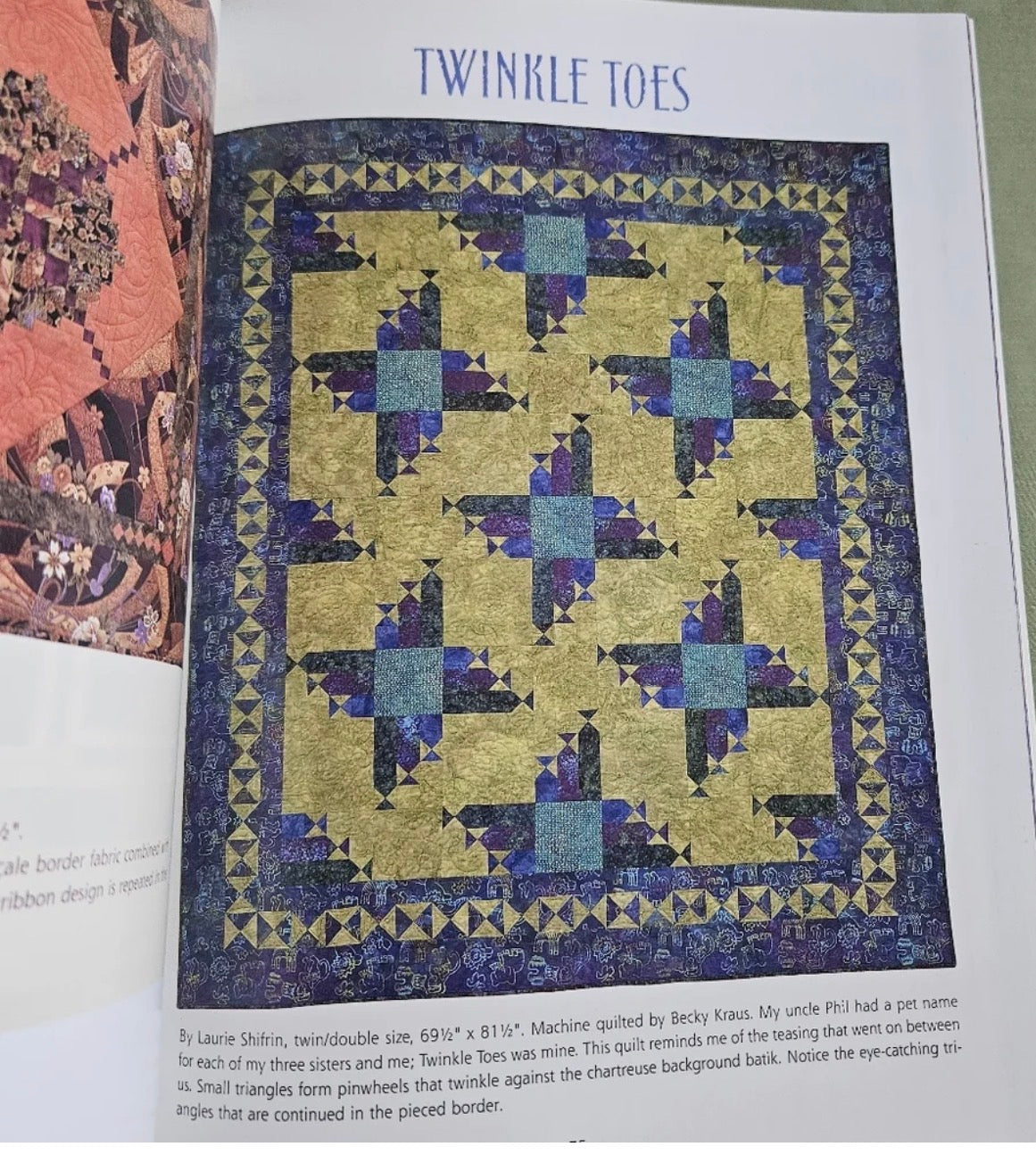 Batiks and Beyond: 22 Quilts from Fabulous Fabrics