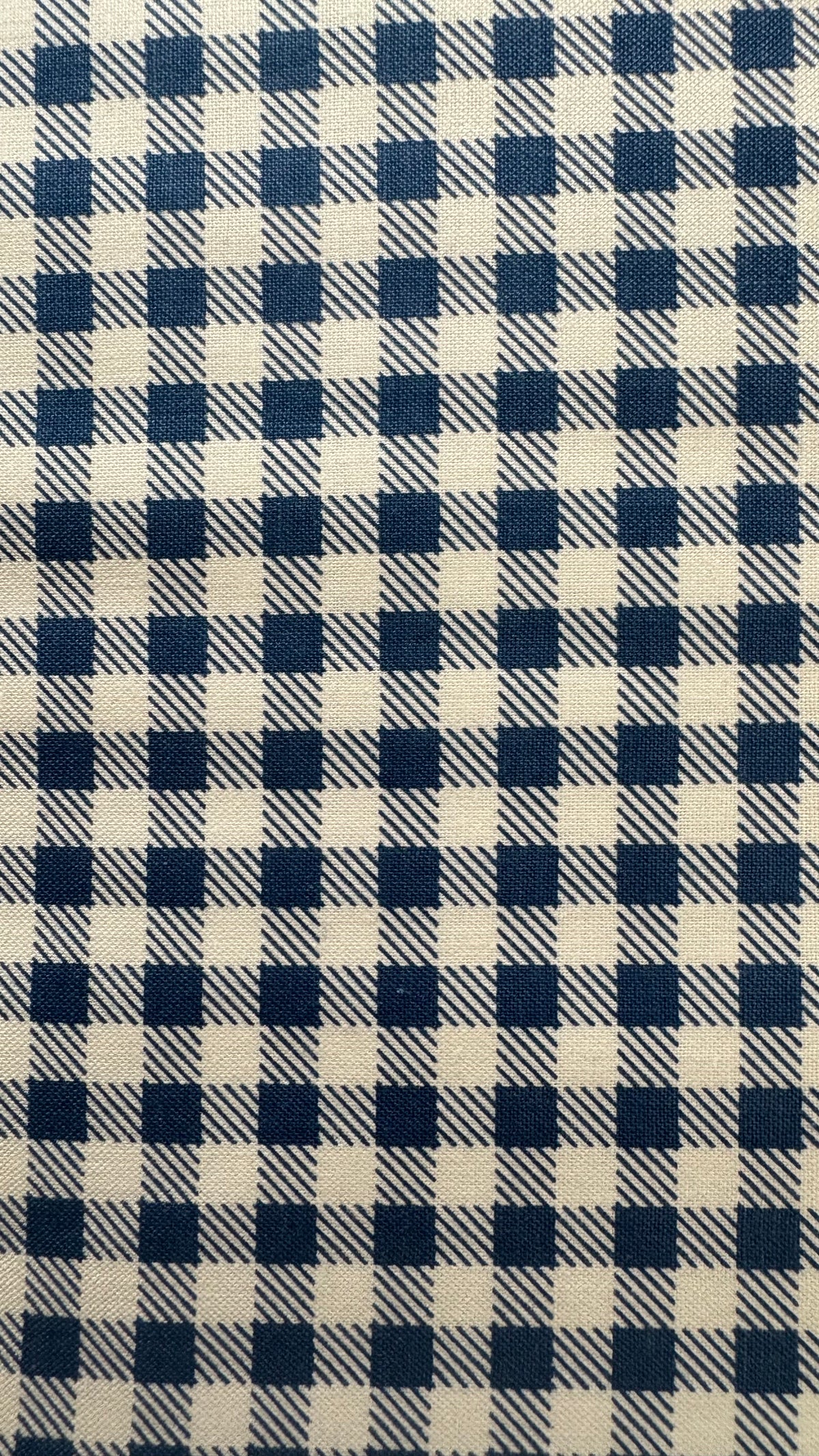 Bee Ginghams by Lori Holt for Riley Blake Designs – 1/4” Plaid Fabric