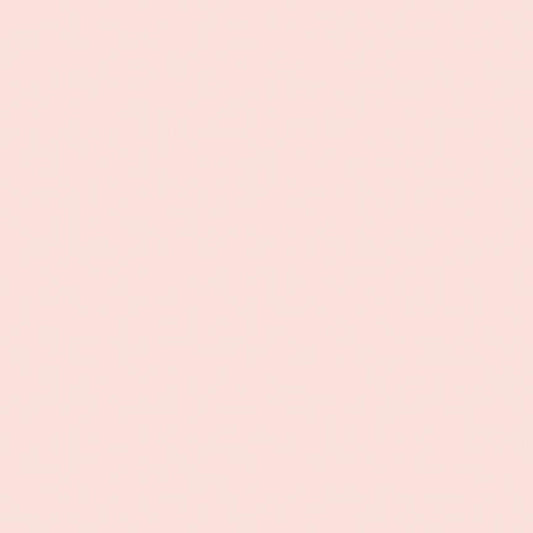 Confetti Cotton Solids – Ballerina | Soft Ballet Pink Quilting Fabric by the half Yard | Riley Blake Designs