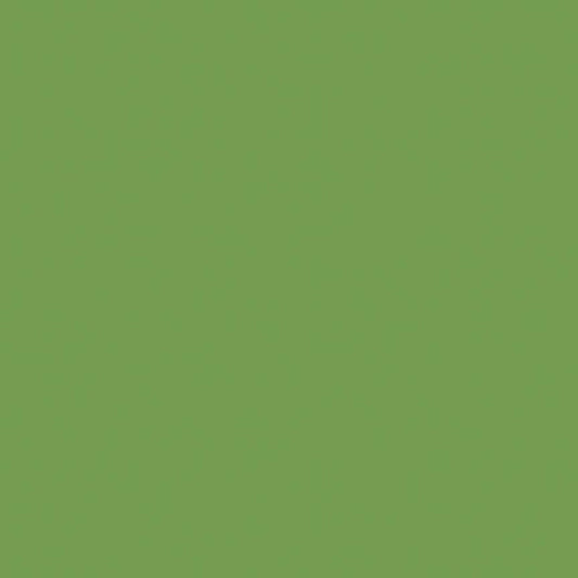 Confetti Cotton Solids – Basil | Earthy Medium Green Quilting Fabric by the half Yard | Riley Blake Designs