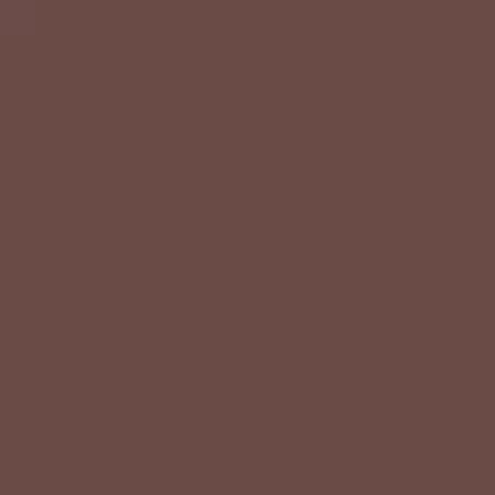 Riley Blake Confetti Cotton - Brown