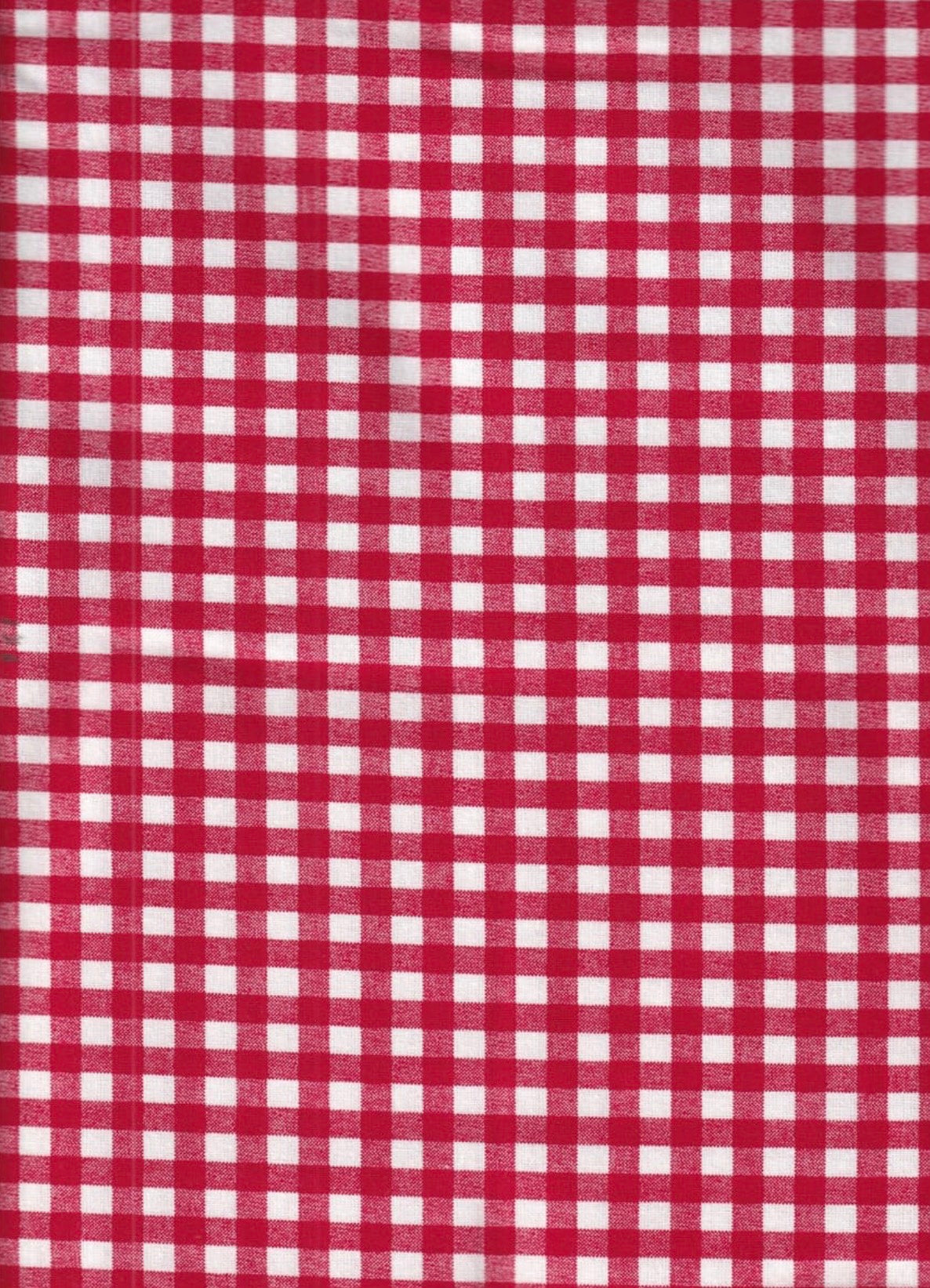 Santee Printed Cottons Large Check - Lipstick
